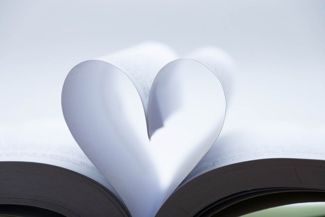 Book Love Heart Editorial Concept  - lucasgeorgewendt / Pixabay