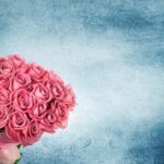 Bouquet Roses Background Romance  - DarkmoonArt_de / Pixabay