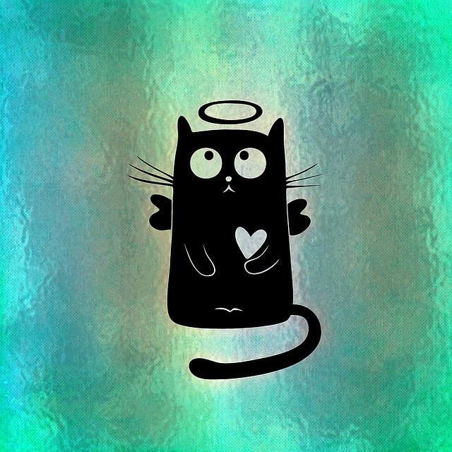 Cat Halo Funny Cute Heart  - Alexas_Fotos / Pixabay