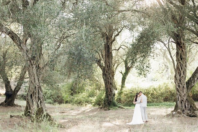 Couple Marriage Love Trees Forest  - lubovlisitsa / Pixabay