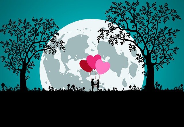 Couple Silhouette Balloons Moon  - Syaibatulhamdi / Pixabay