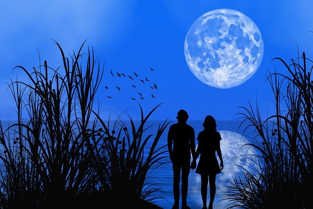 Couple Silhouette Moon Lake Birds  - susan-lu4esm / Pixabay