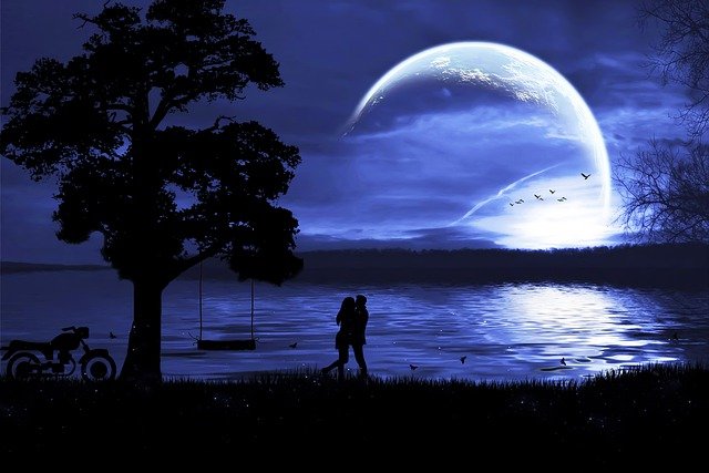 Couple Silhouette Moonlight Park  - DesignND / Pixabay