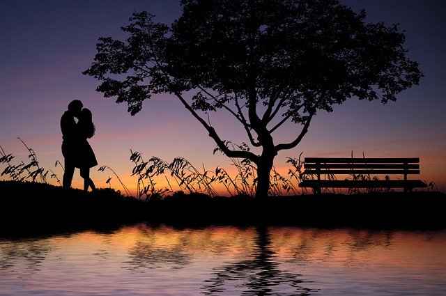 Couple Sunset Silhouettes Tree  - Tumisu / Pixabay