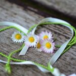 Daisy Heart Romance Valentine S Day  - congerdesign / Pixabay