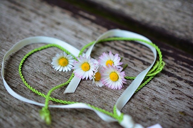 Daisy Heart Romance Valentine S Day  - congerdesign / Pixabay
