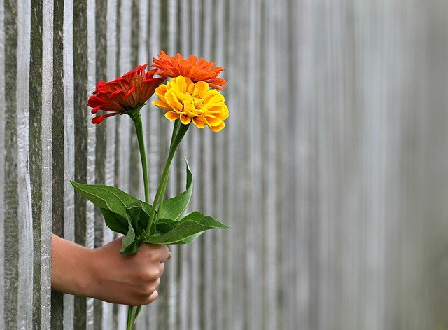 Hand Gift Bouquet Congratulation  - klimkin / Pixabay