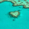 Heart Coral Australia Coral Reef  - alicia3690 / Pixabay