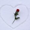 Heart In Snow Red Rose Love Symbol  - GoranH / Pixabay