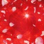 Heart Rose Petals Romantic  - lumpi / Pixabay