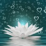 Heart Water Lily Water Wave Love  - geralt / Pixabay