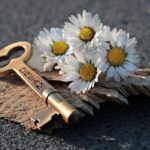 Key Heart Daisy Love Wood  - pixel2013 / Pixabay