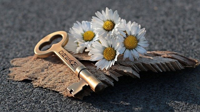 Key Heart Daisy Love Wood  - pixel2013 / Pixabay