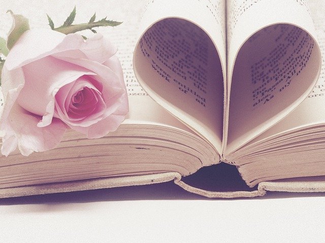 Literature Book Bindings Page Book  - JessBaileyDesign / Pixabay