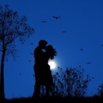 Moon Night Couple Silhouette  - rauschenberger / Pixabay