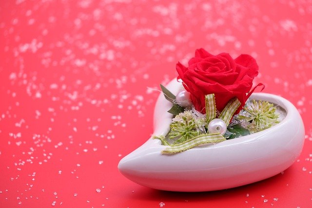 Rose Blossom Bloom Flower Heart  - Bru-nO / Pixabay