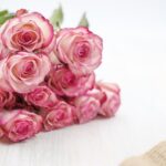 Roses Flowers Bouquet Bloom  - Bru-nO / Pixabay