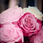 Roses Pink Romantic Wedding  - 9883074 / Pixabay