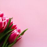 Tulip Pink Flowers Bouquet Bloom  - romanakr / Pixabay