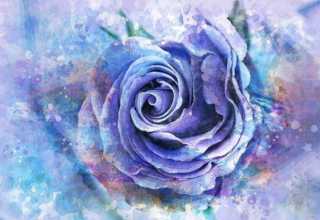 Watercolor Rose Flower Romantic  - TT / Pixabay