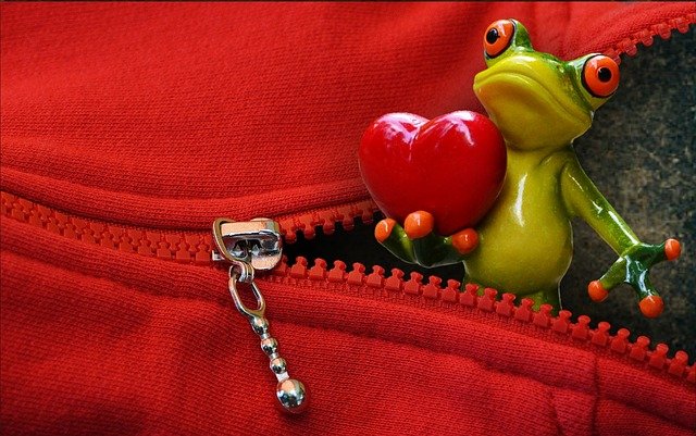 Zip Open Frog Love Valentine S Day  - Alexas_Fotos / Pixabay